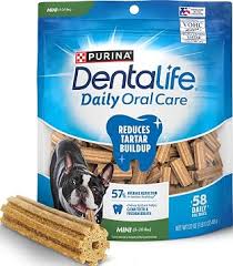 Dental Care